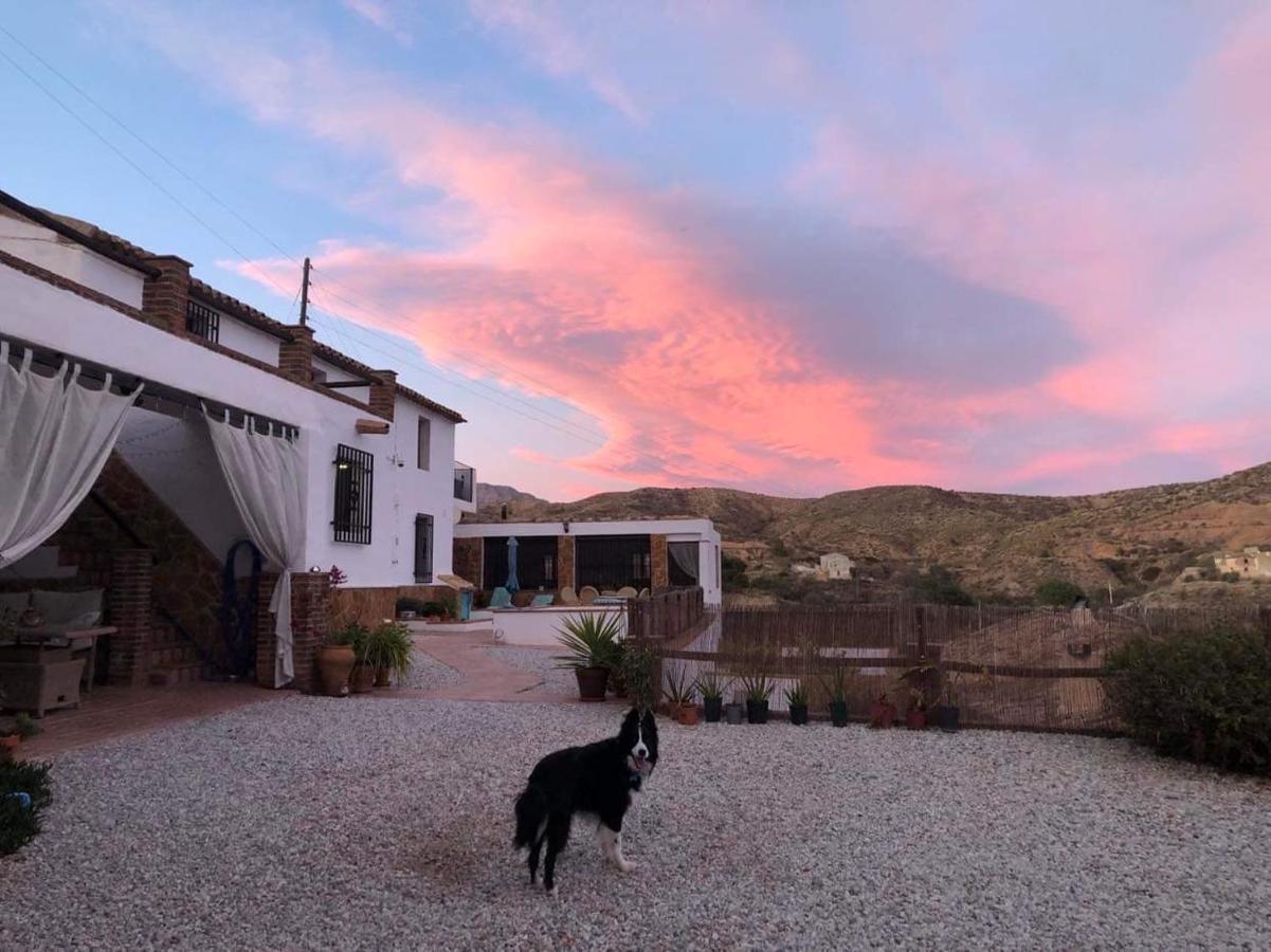 Cortijo Perejil, A Tranquil Mountain Escape & Private Pool Apartment Oria Exterior photo