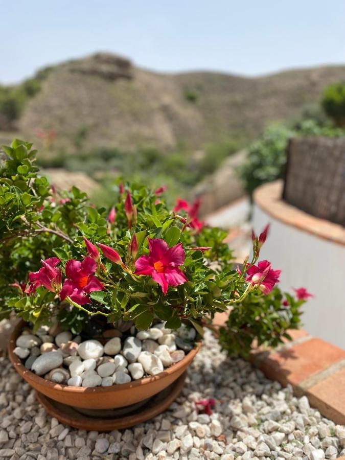 Cortijo Perejil, A Tranquil Mountain Escape & Private Pool Apartment Oria Exterior photo