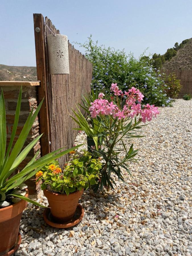 Cortijo Perejil, A Tranquil Mountain Escape & Private Pool Apartment Oria Exterior photo
